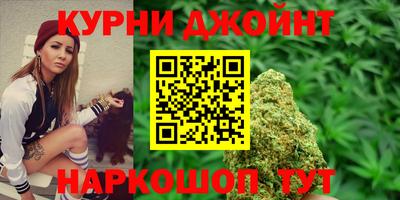 Альфа ПВП Нальчик